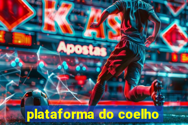 plataforma do coelho