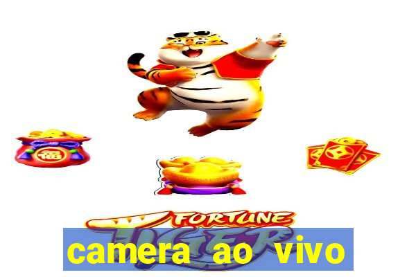 camera ao vivo terminal vila nova cachoeirinha