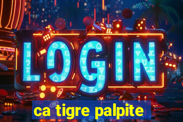 ca tigre palpite