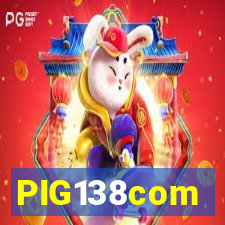 PIG138com