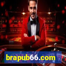 brapub66.com