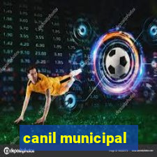 canil municipal