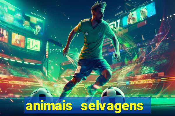 animais selvagens fotos e nomes