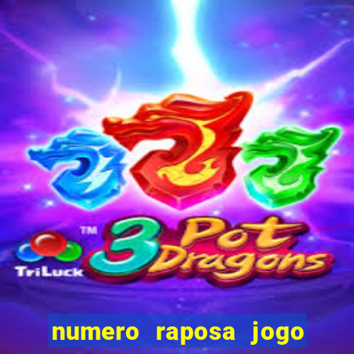 numero raposa jogo do bicho