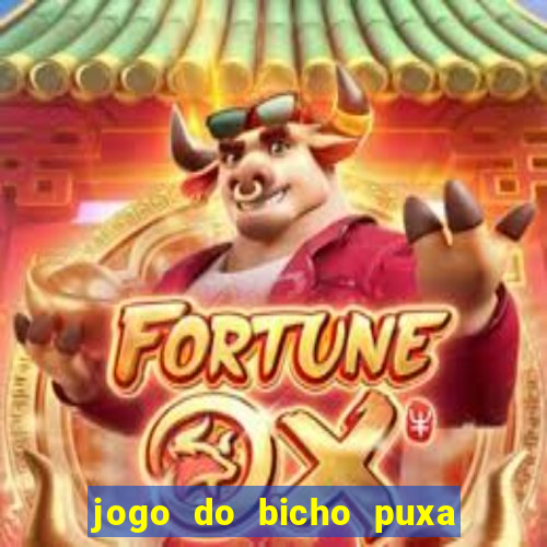 jogo do bicho puxa de dona maria