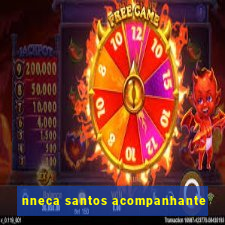 nneca santos acompanhante